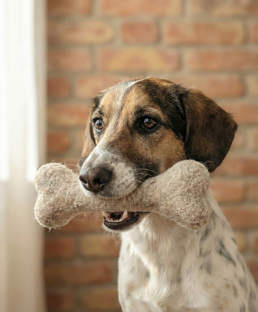 Hundespielzeug, Filz