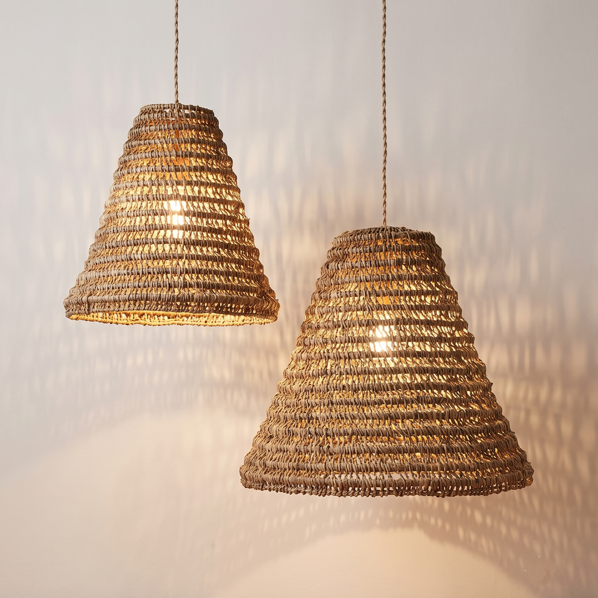 Lampe, Seegras
