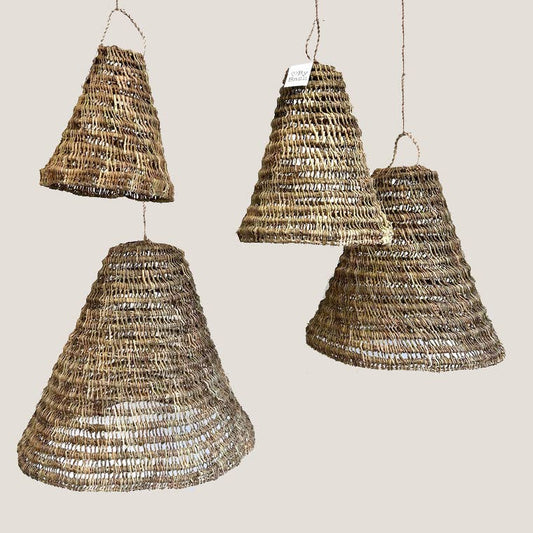 Lampe, Seegras