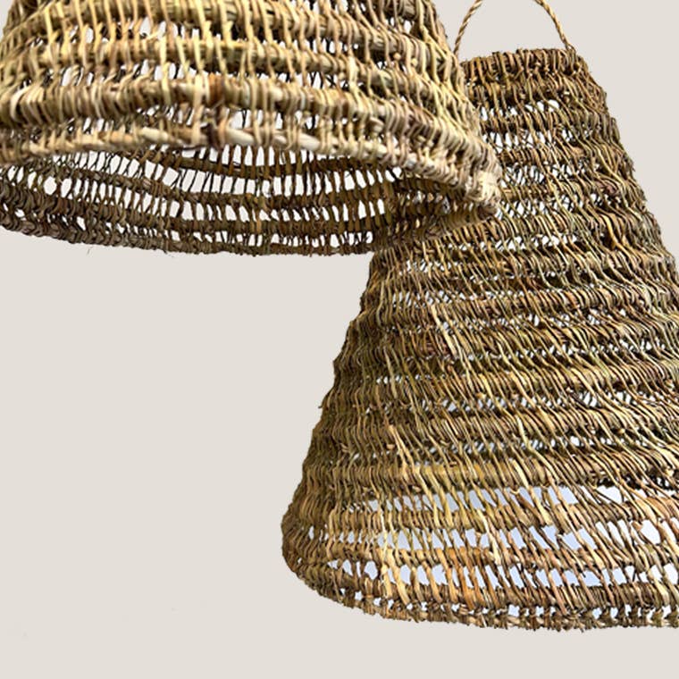Lampe, Seegras