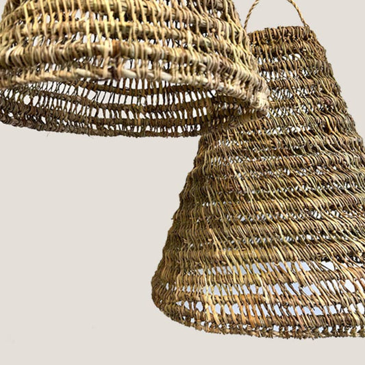 Lampe, Seegras