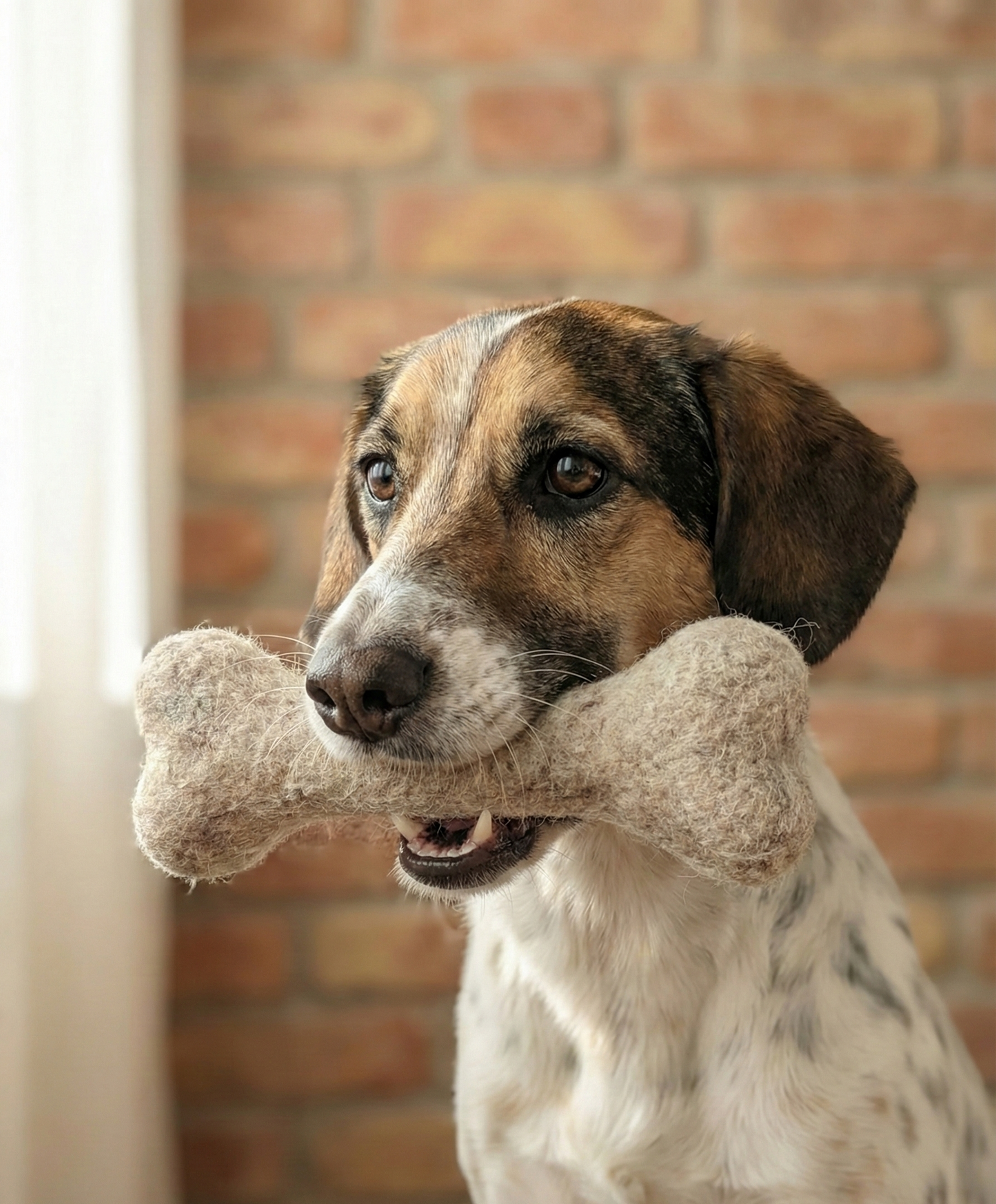 Hundespielzeug, Filz